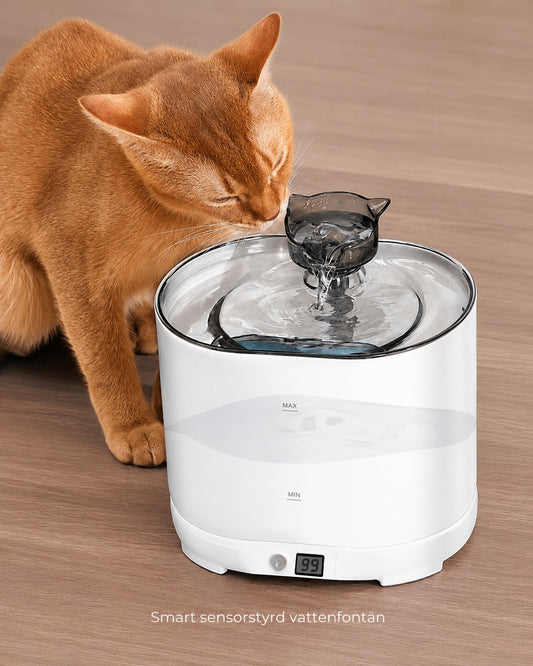 TassLiv sladdlös vattenfontän med katt som dricker