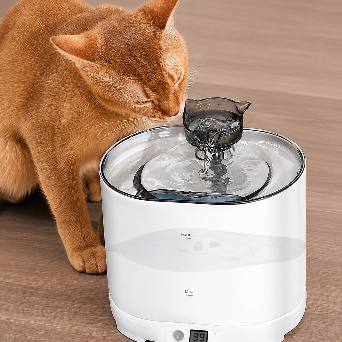 Katt dricker ur TassLiv vattenfontän
